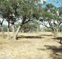 Forest Den National Park - eAccommodation