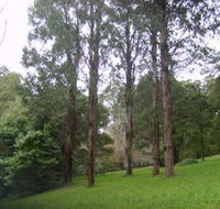 Mount Dandenong Arboretum - eAccommodation