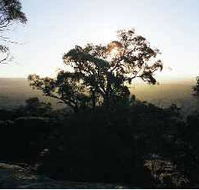 Yarra Flats - eAccommodation