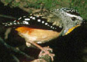 Benalla VIC eAccommodation