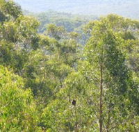 Bunyip State Park - eAccommodation
