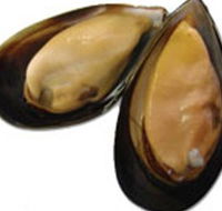 Sea Bounty - eAccommodation