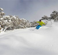 Mt Buller and Mt Stirling Alpine Resort - eAccommodation