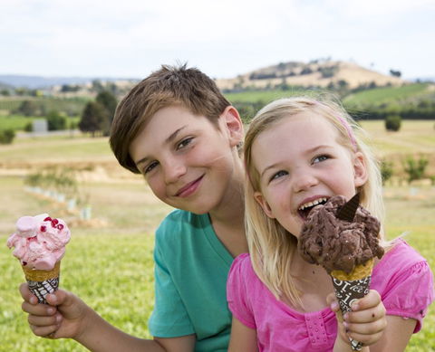 Yarra Valley Chocolaterie & Ice Creamery - eAccommodation 6