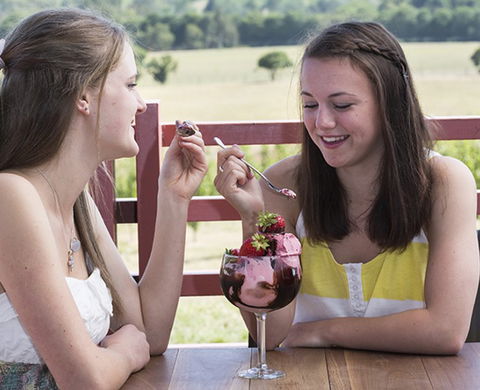 Yarra Valley Chocolaterie & Ice Creamery - eAccommodation 8