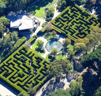 Ashcombe Maze  Lavender Gardens - eAccommodation