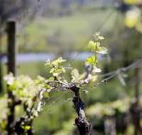 Lindemans Karadoc Winery - eAccommodation