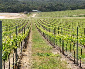 M Chapoutier Australia - eAccommodation 0