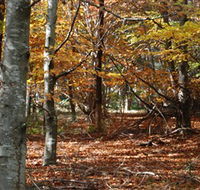 RJ Hamer Arboretum - eAccommodation