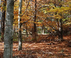 RJ Hamer Arboretum - eAccommodation 0