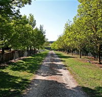 Waybourne Winery - eAccommodation
