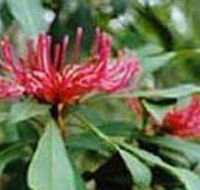 Alfred National Park - eAccommodation