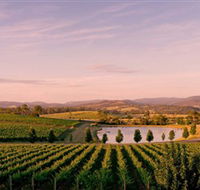 Oakridge Wines - eAccommodation