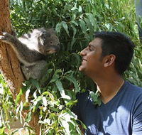 Healesville Sanctuary - eAccommodation