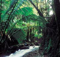 Melba Gully - eAccommodation