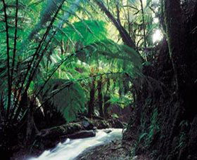 Melba Gully - eAccommodation 0