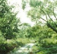 Holey Plains State Park - eAccommodation