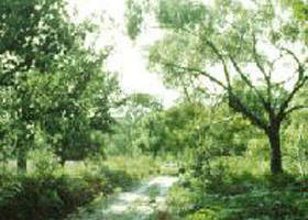 Holey Plains State Park - eAccommodation 0