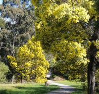 Wattle Park - eAccommodation