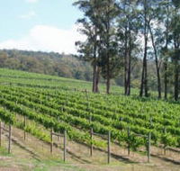 Piedmont Vineyard - eAccommodation