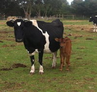 Animal Land Children's Farm - eAccommodation
