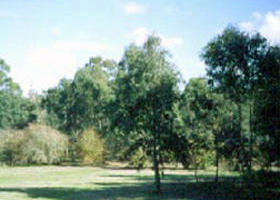 Sweeneys Flat - eAccommodation 0