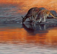 Steve Morvell Wildlife Art - eAccommodation