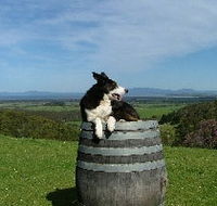 Windy Ridge Vineyard and Winery - eAccommodation