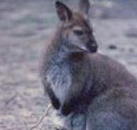 Churchill National Park - eAccommodation