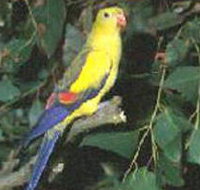 Lake Hindmarsh Reserve - eAccommodation