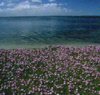 The Lakes National Park - eAccommodation