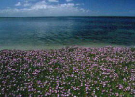 The Lakes National Park - eAccommodation 0
