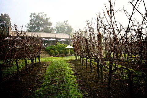 GREENSTONE VINEYARDS - eAccommodation 4