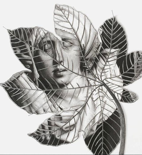 Wollongong Art Gallery - eAccommodation 2