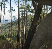 Gulaga National Park - eAccommodation