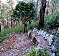 Wodi Wodi Walking Track - eAccommodation