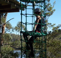 Trees Adventure Shoalhaven - eAccommodation