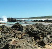 Coastal Walks - Bermagui - eAccommodation