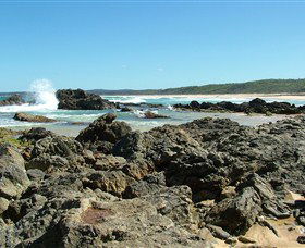 Coastal Walks - Bermagui - eAccommodation 0