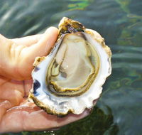 The Oyster Pot - eAccommodation