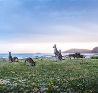Pebbly Beach - eAccommodation