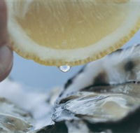 Pearly Oyster Bar and Farm - eAccommodation