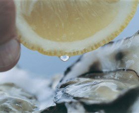 Pearly Oyster Bar And Farm - eAccommodation 0