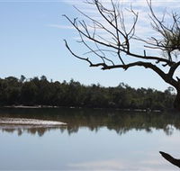 North Coast Holiday Parks Boambee Creek Reserve - eAccommodation