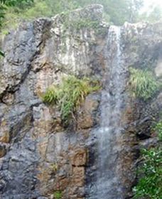 Wedding Bells Forest Drive - eAccommodation 0