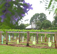 Douglas Vale Historic Homestead  Vineyard - eAccommodation