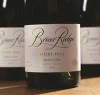 Briar Ridge Vineyard - eAccommodation