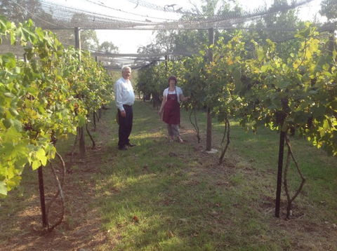Holland Wines - eAccommodation 8