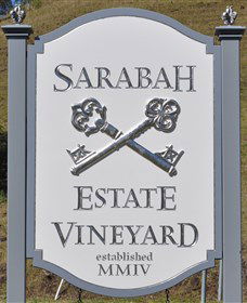 Sarabah Estate Vineyard - eAccommodation 3