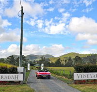 Sarabah Estate Vineyard - eAccommodation